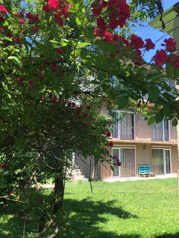 Апартаменти Dani'S House Кобулеті Екстер'єр фото
